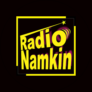 Radio Namkin Radio Logo