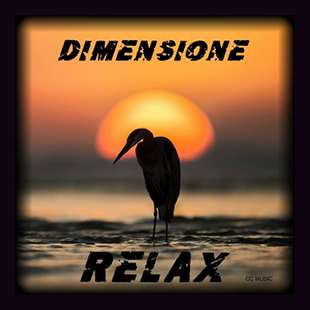 Radio Dimensione - Relax Radio Logo