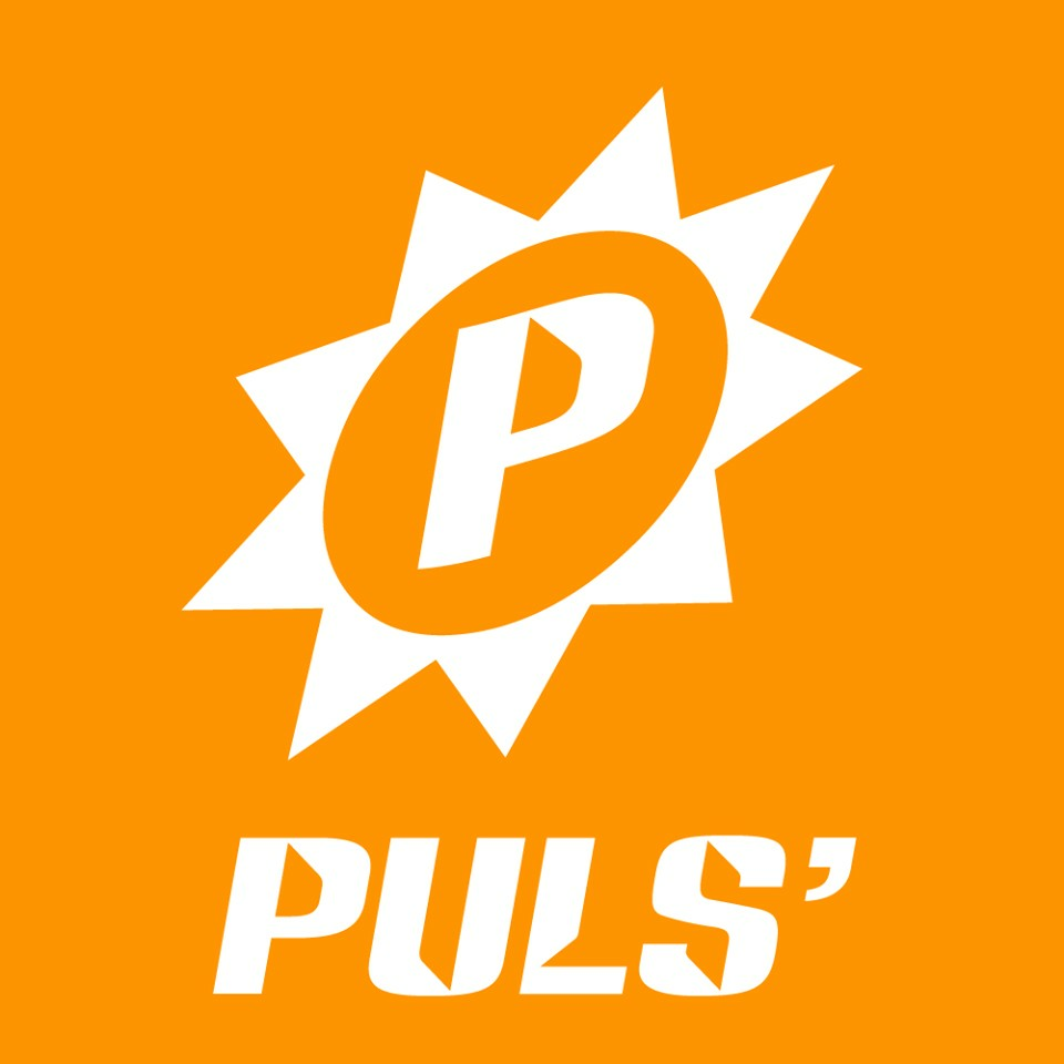 PulsRadio 90 Radio Logo