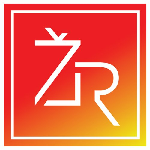 Žinių Radijas Radio Logo