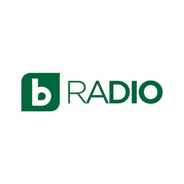 bTV Radio 101.1 FM Sofia Radio Logo